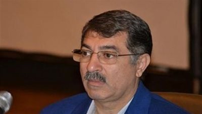 وقف طعن بطلان قرارات التحفظ على أموال إنجي صادق