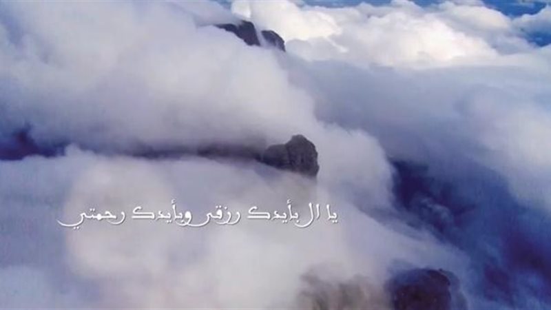 فيتو