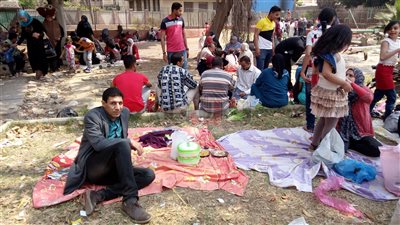 ضبط 28 طن أسماك مملحة فاسدة بالغربية