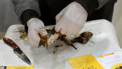 أسهل طريقة لتنظيف الفسيخ والرنجة (فيديو)