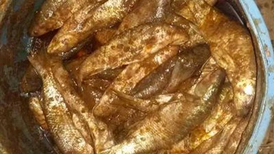 ضبط 330 كيلوجرام فسيخ فاسد في المنيا