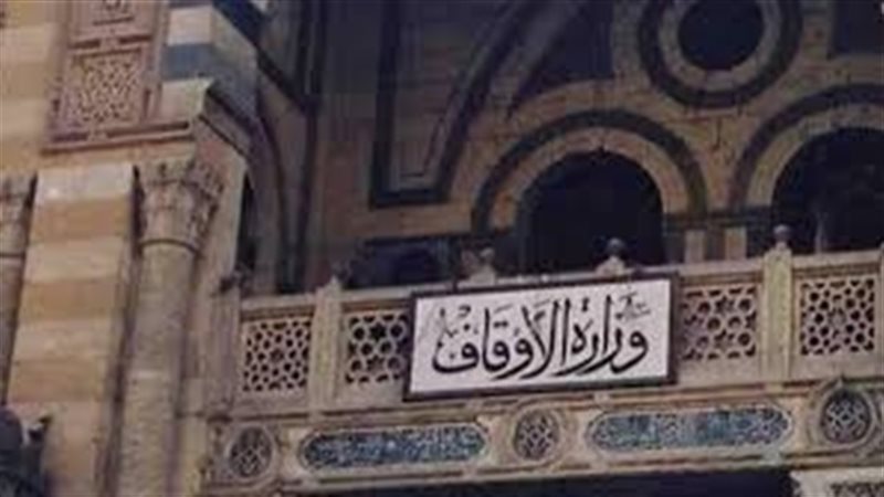 ارشيفية