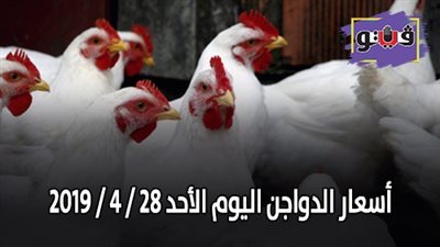 أسعار الدواجن اليوم الأحد 28 / 4 / 2019