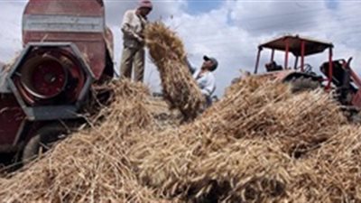 مصرع مزارع داخل ماكينة درس القمح بالمنوفية