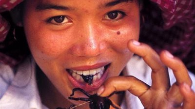 بالصور.. أغرب الأكلات في العالم.. الكلاب في كوريا والقرود في الكونغو