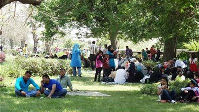 الوادي الجديد تستعد لشم النسيم بفتح الحدائق والمتنزهات مجانا