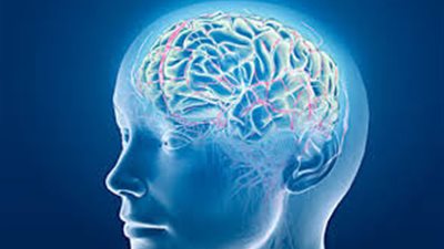 7 نصائح تحمي من الإصابة بجلطات المخ