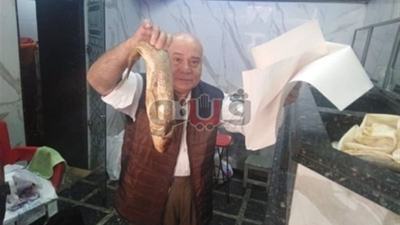 فيتو