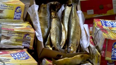 لحظة مصادرة 126 طن «فسيخ ورنجة» فاسدة (فيديو)