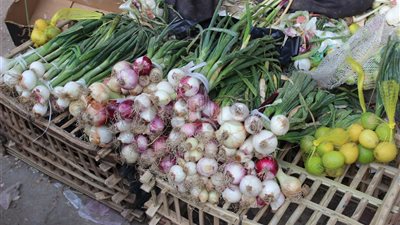 بائعو البصل والليمون بالشرقية يشكون تراجع عملية البيع (فيديو وصور)