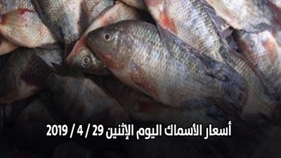 أسعار الأسماك اليوم الإثنين 29 / 4 / 2019