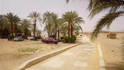 الحر والامتحانات يمنعان أهالي الوادي الجديد من الاحتفال بشم النسيم