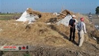 بالصور.. إزالة 14 حالة تعد على الأراضي الزراعية بالحامول