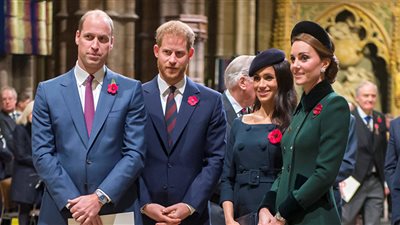 الأمير هاري وشقيقه ينهيان العداء الملكي قبل ولادة ميجان ميركل