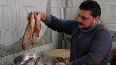شعبة الأسماك: الإقبال على الفسيخ في أعلى معدلاته اليوم