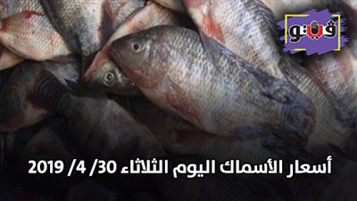 أسعار الأسماك اليوم الثلاثاء 30/ 4/ 2019