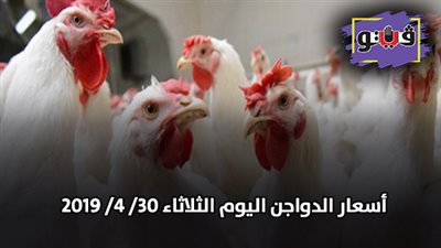 أسعار الدواجن اليوم الثلاثاء 30/ 4/ 2019