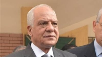 حظر الفروشات بالأرصفة والطرق العامة في الجيزة