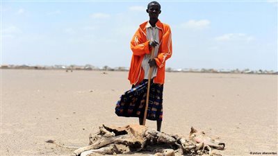 تغير المناخ يهدد الأمن الغذائي ويزيد النزاعات