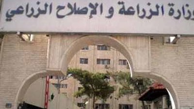 «الزراعة» تبحث رفع ميزانية «الإرشاد» إلى 5 ملايين جنيه