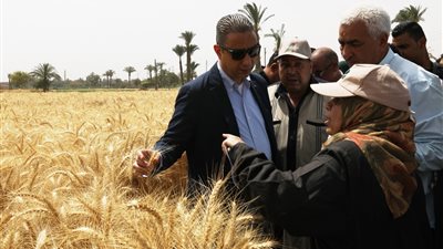 محافظ سوهاج يشهد حصاد القمح بالحقل الإرشادي في قرية البخايتة (صور)