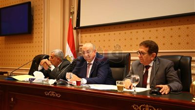 غضبة برلمانية لوجود مناطق محرومة من المياه والصرف الصحي في مصر.. نواب يطالبون بزيادة الموازنة ووزارة خاصة بالمرافق.. يحذرون من 