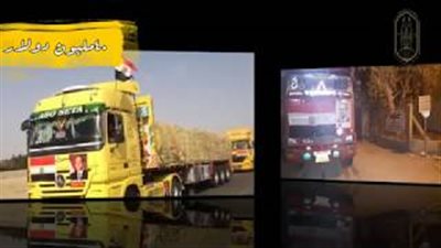 مرصد الأزهر يتناول مساندة مصر الإنسانية للقضية الفلسطينية (فيديو)