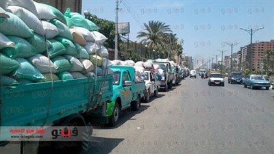 توريد 8 آلاف طن من القمح المحلي لوزارة التموين خلال 72 ساعة