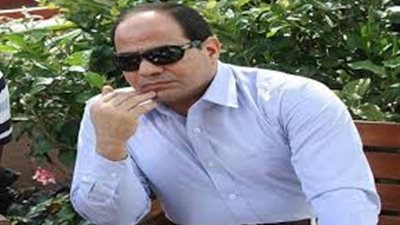 50 توكيلًا لصالح المشير السيسي بطوخ حتى الآن
