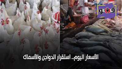 الأسعار اليوم.. استقرار الدواجن والأسماك