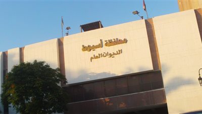 عقد قران بديوان عام محافظة أسيوط يحضره السكرتير العام والمساعد