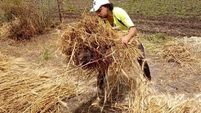 «عامل باليومية».. قصة عماد حمدي هداف القسم الثالث (صور)