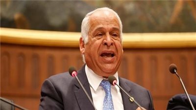 بيان عاجل للحكومة حول انتشار النمل الأبيض بالإسكندرية