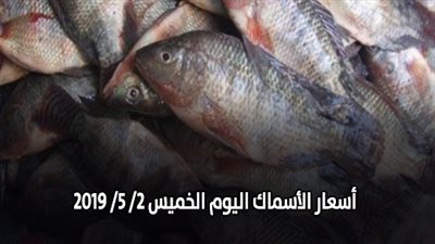 أسعار الأسماك اليوم الخميس 2/ 5/ 2019