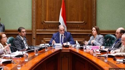 تضامن النواب توافق على موازنة المجلس القومى للأمومة والطفولة