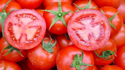 الديب: غياب الرقابة أدى إلى ارتفاع سعر كيلو الطماطم إلى 6 جنيهات