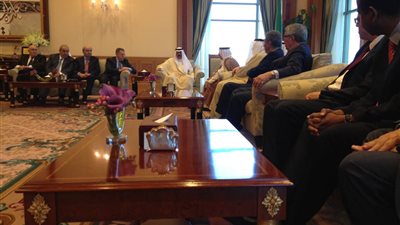 عمرو موسى يلتقي 