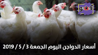 أسعار الدواجن اليوم الجمعة 3 / 5 / 2019