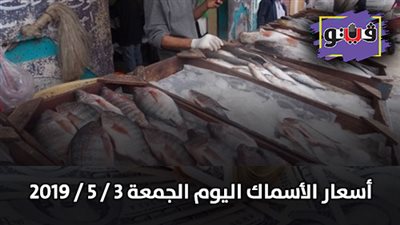 أسعار الأسماك اليوم الجمعة 3 / 5 / 2019
