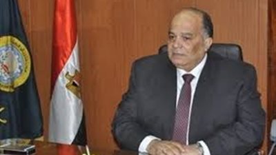 محافظ الدقهلية يصدر قرارًا لمنع الصيد بالكهرباء في بحيرة المنزلة