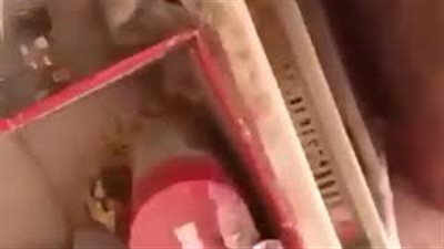 قرد يقلب منزلا رأسا على عقب.. شاهد رد فعل صاحبه بعد العثور عليه في المطبخ