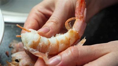 الجمبري يسجل 200 جنيه..أسعار الأسماك اليوم الجمعة 23-9-2022 في البحيرة 