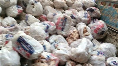 ضبط 2 طن دواجن فاسدة داخل ثلاجة لحفظ السلع الغذائية بالقاهرة