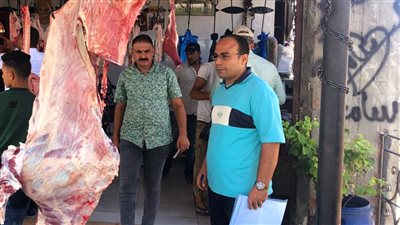 التحفظ على 10 أطنان أغذية في حملات بالدقهلية