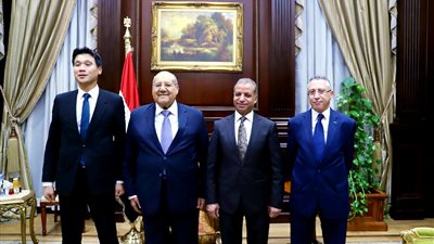تفاصيل لقاء رئيس مجلس الشيوخ بسفير كوريا الجنوبية بالقاهرة
