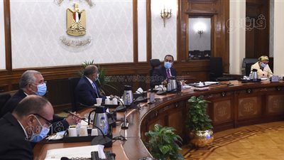 100 مليون شجرة.. الحكومة تستعد لإطلاق المبادرة الرئاسية للتشجير | صور 