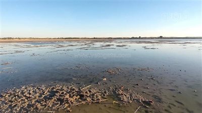 جزيرة فطناس بسيوة.. من الغروب الخيالي إلى الجفاف ونفوق الأسماك | صور 