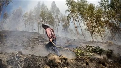 بميزانية 369 مليار دولار.. قانون تاريخي لمكافحة تغير المناخ فى أمريكا