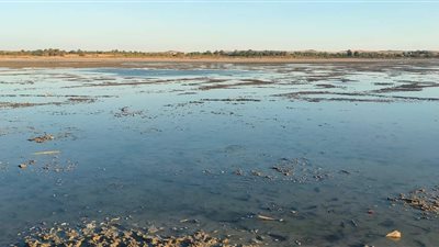 الري ترد على فيتو.. وتكشف أسباب انخفاض منسوب المياه بجزيرة فطناس بسيوة