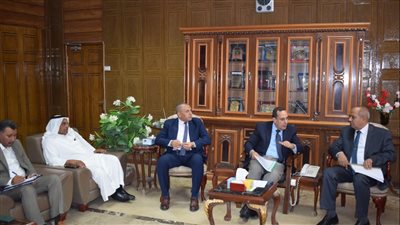 محافظ شمال سيناء: الدولة تولي اهتماما كبيرا بقطاع الكهرباء